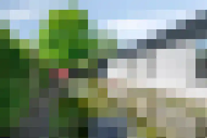 Pastoor Janssenstraat 3 Meerlo thumbnail 47