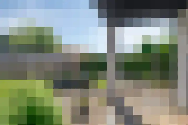 Pastoor Janssenstraat 3 Meerlo thumbnail 49