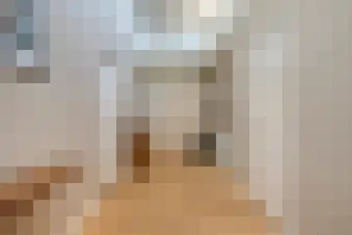 Pastoor Janssenstraat 3 Meerlo thumbnail 5