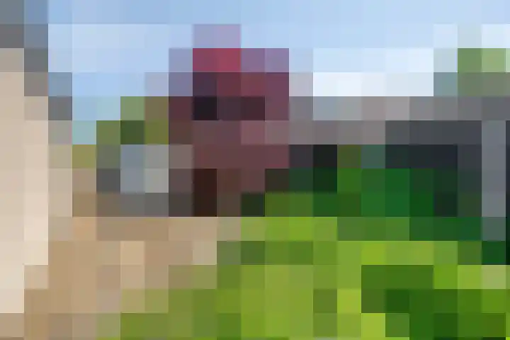 Pastoor Janssenstraat 3 Meerlo thumbnail 50