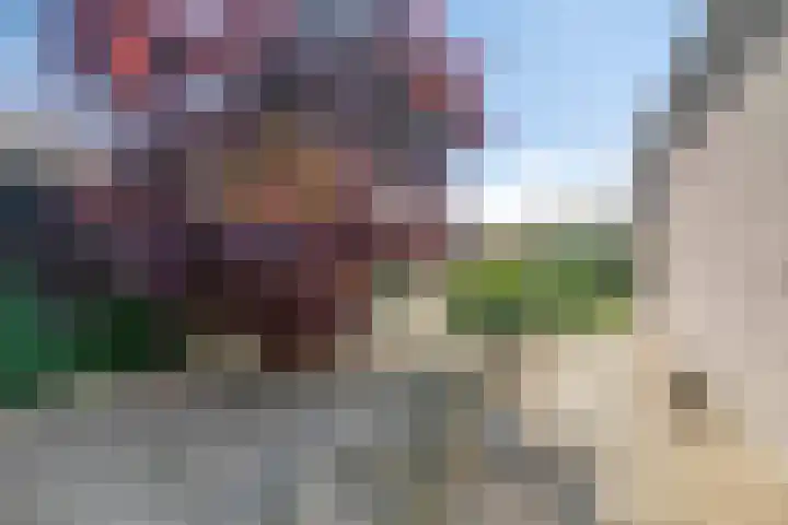 Pastoor Janssenstraat 3 Meerlo thumbnail 51