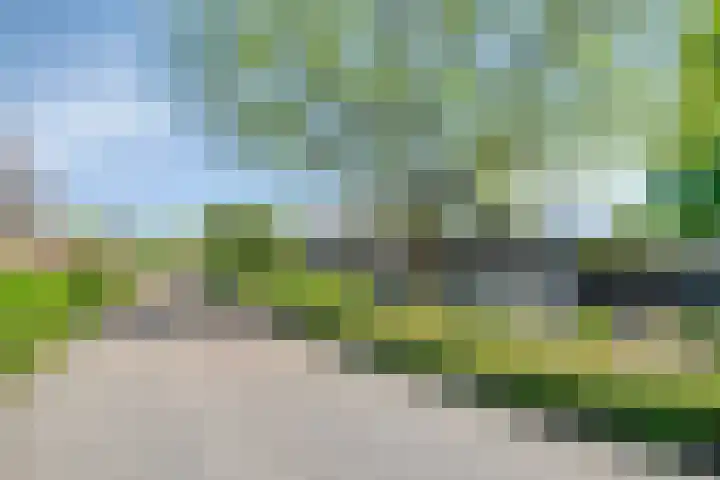 Pastoor Janssenstraat 3 Meerlo thumbnail 54