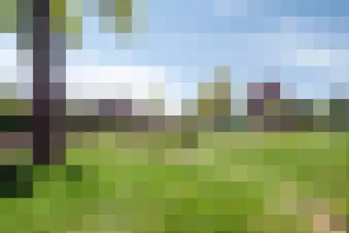 Pastoor Janssenstraat 3 Meerlo thumbnail 55
