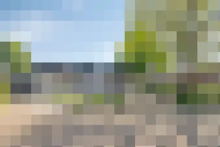 Pastoor Janssenstraat 3 Meerlo thumbnail 59