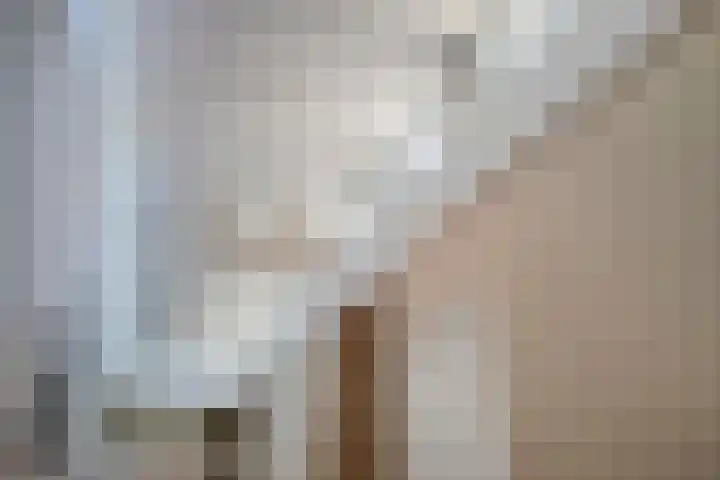 Pastoor Janssenstraat 3 Meerlo thumbnail 7