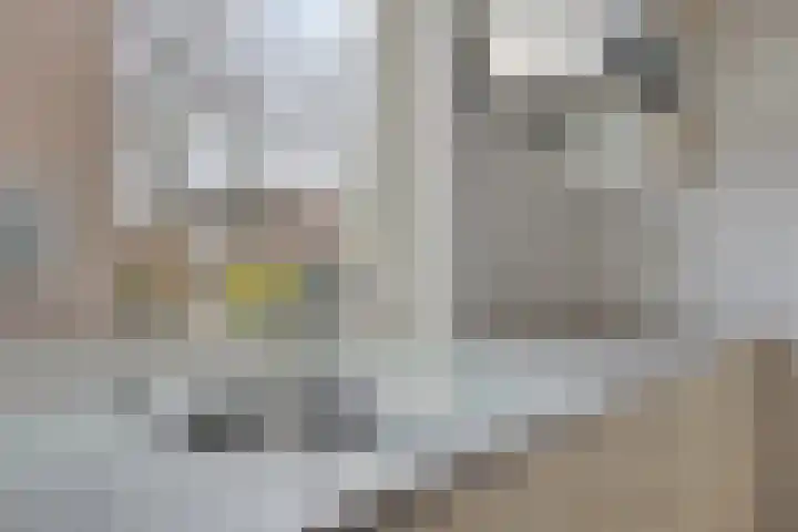 Pastoor Janssenstraat 3 Zeeland thumbnail 12