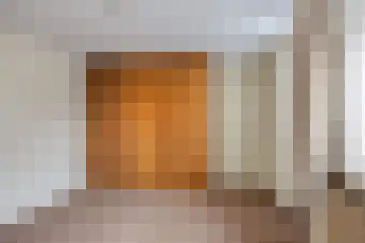 Pastoor Janssenstraat 3 Zeeland thumbnail 21
