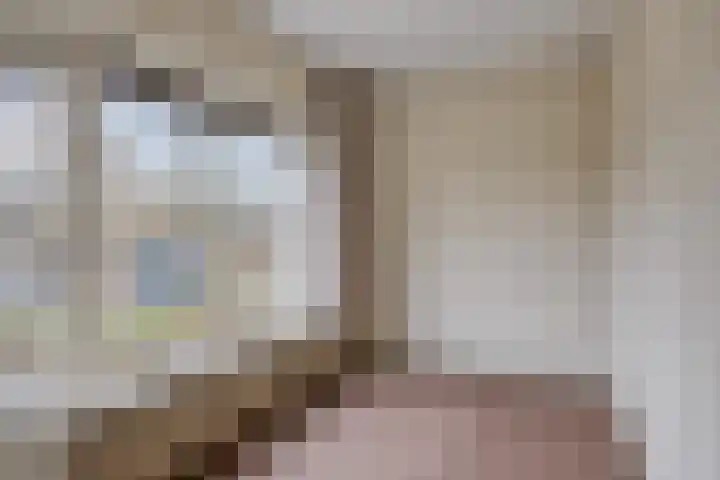 Pastoor Janssenstraat 3 Zeeland thumbnail 30