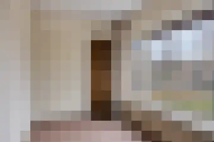 Pastoor Janssenstraat 3 Zeeland thumbnail 32