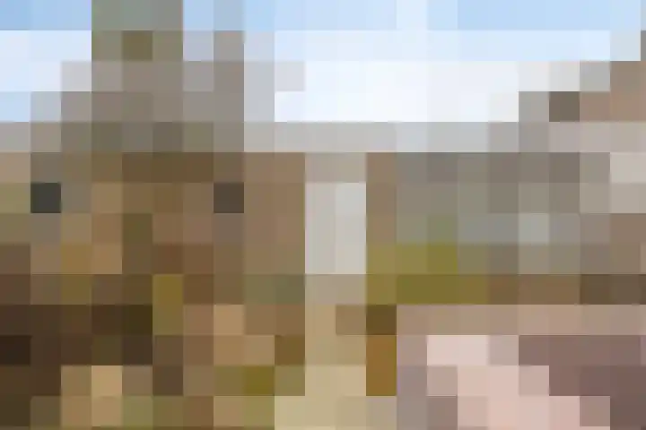 Pastoor Janssenstraat 3 Zeeland thumbnail 36