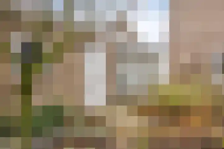 Pastoor Janssenstraat 3 Zeeland thumbnail 37