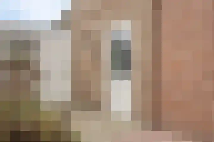 Pastoor Janssenstraat 3 Zeeland thumbnail 39