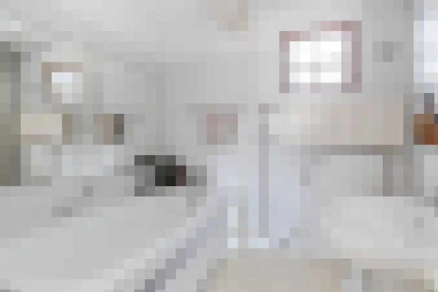 Pastoor Janssensweg 12 Valkenburg thumbnail 24