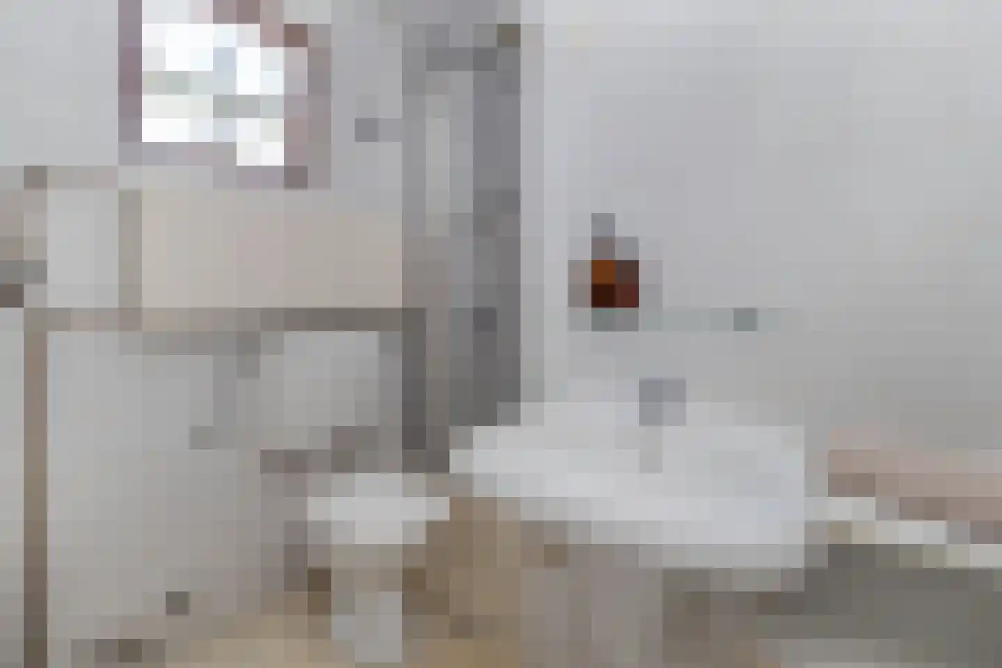 Pastoor Janssensweg 12 Valkenburg thumbnail 25