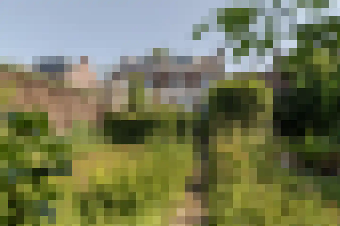 Pastoor Janssensweg 12 Valkenburg thumbnail 38