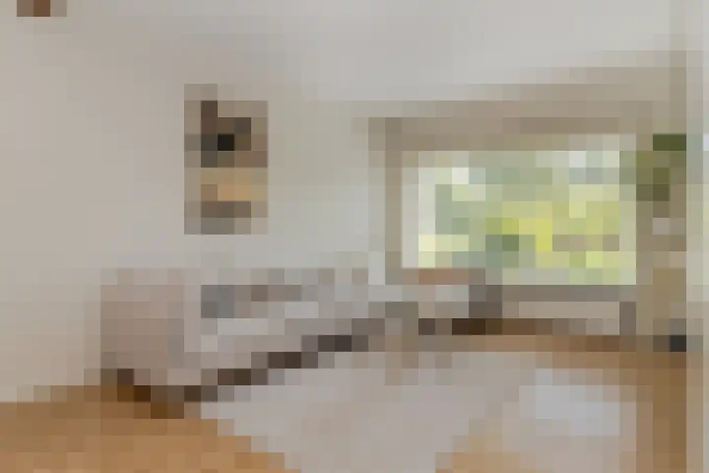 Pastoor Janssensweg 12 Valkenburg thumbnail 9