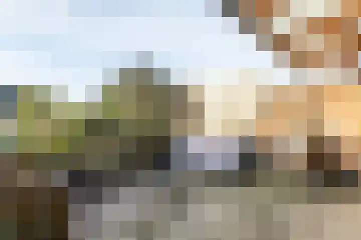 Pastoor Janssensweg 8 Valkenburg thumbnail 27