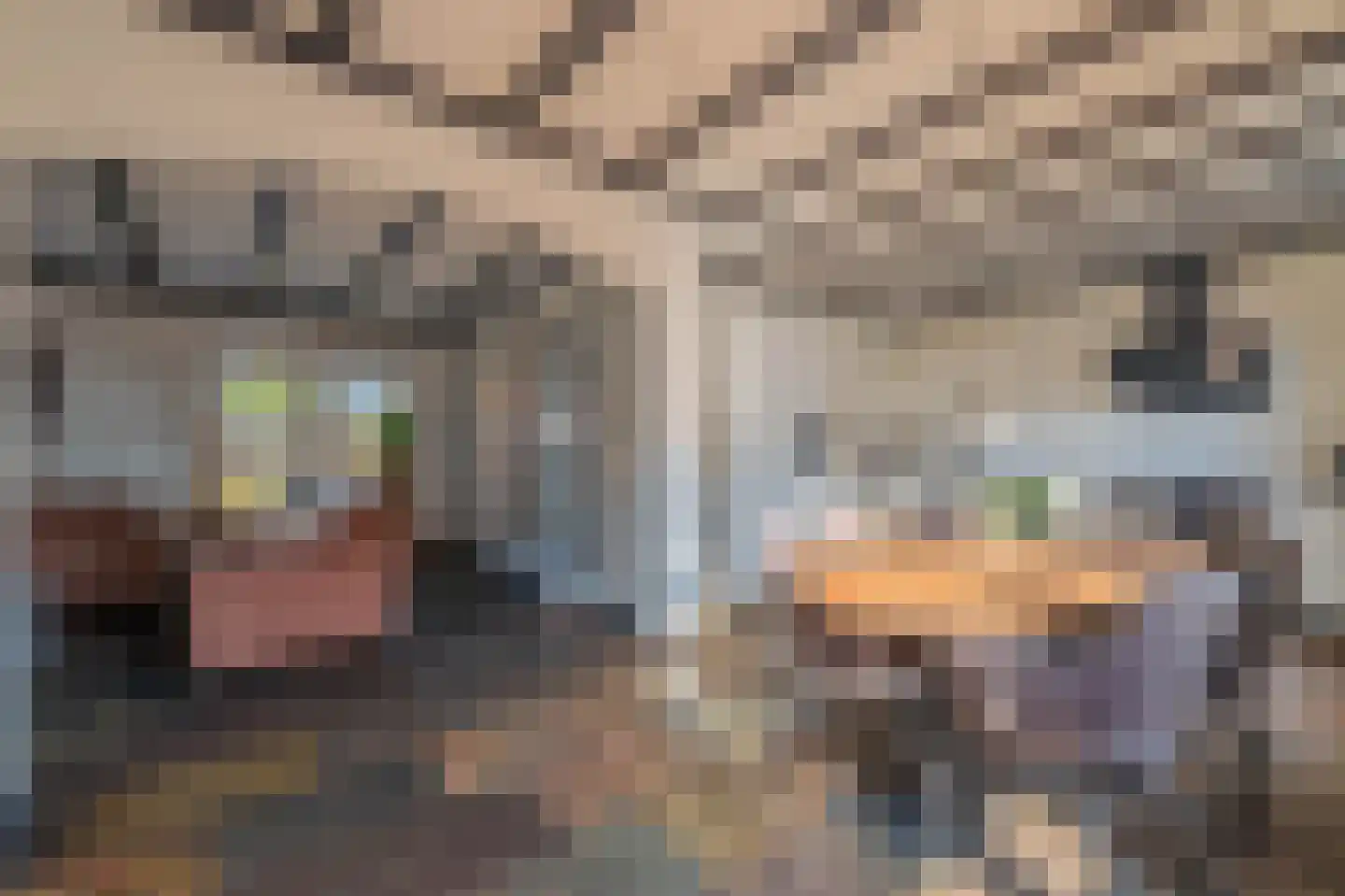 Pastoor Jeukenstraat 8 America thumbnail 11