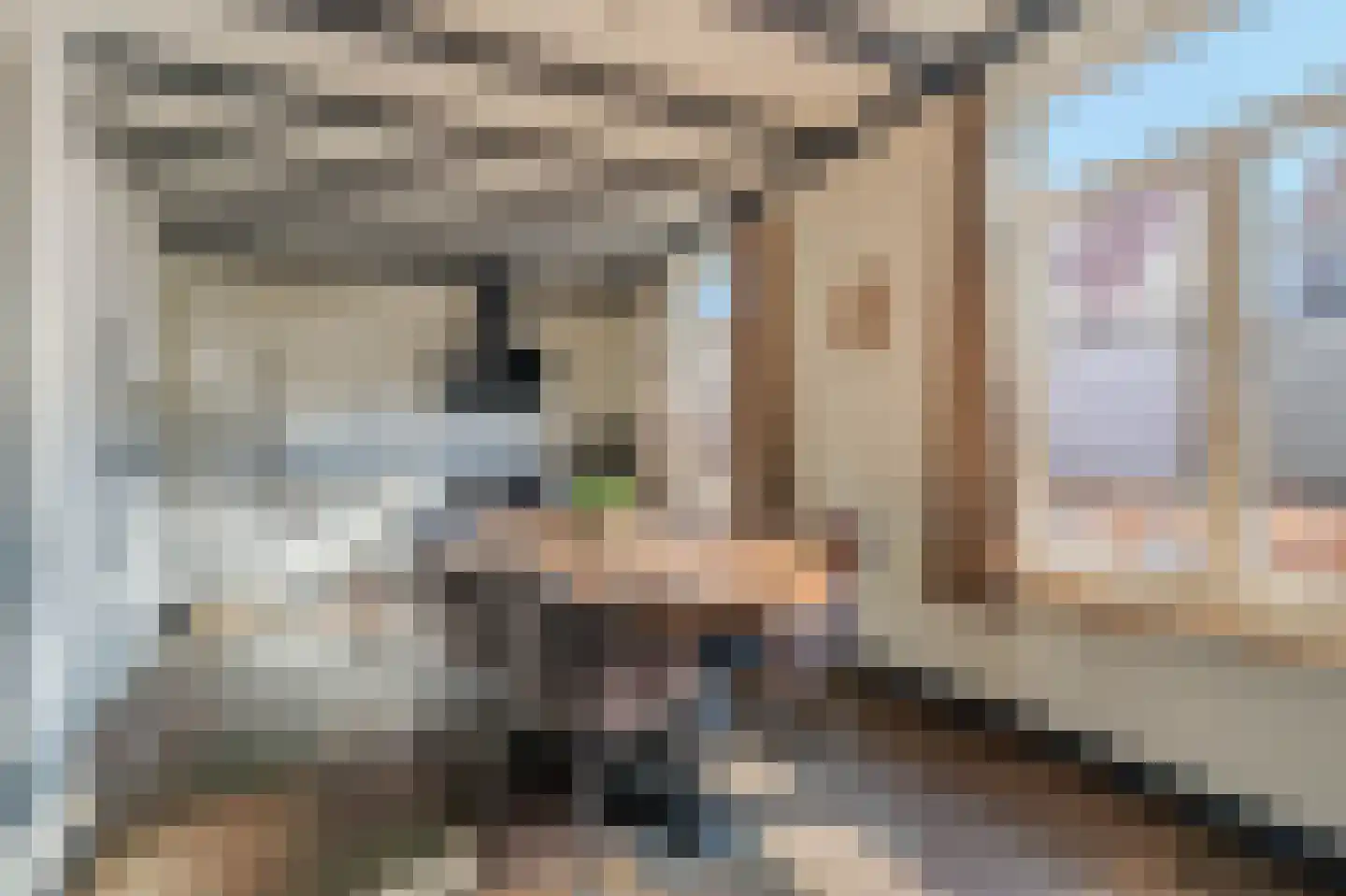 Pastoor Jeukenstraat 8 America thumbnail 12