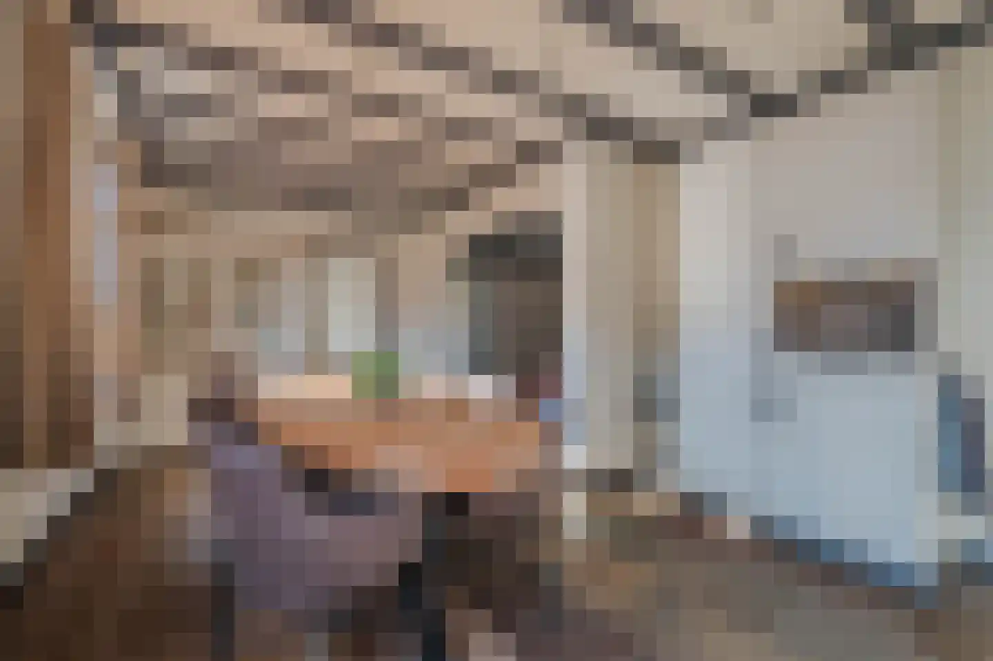 Pastoor Jeukenstraat 8 America thumbnail 18