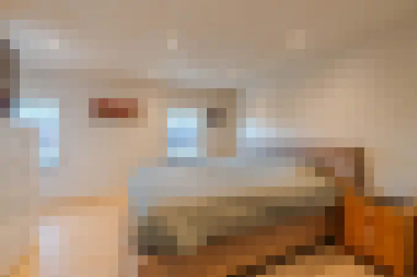 Pastoor Jeukenstraat 8 America thumbnail 39