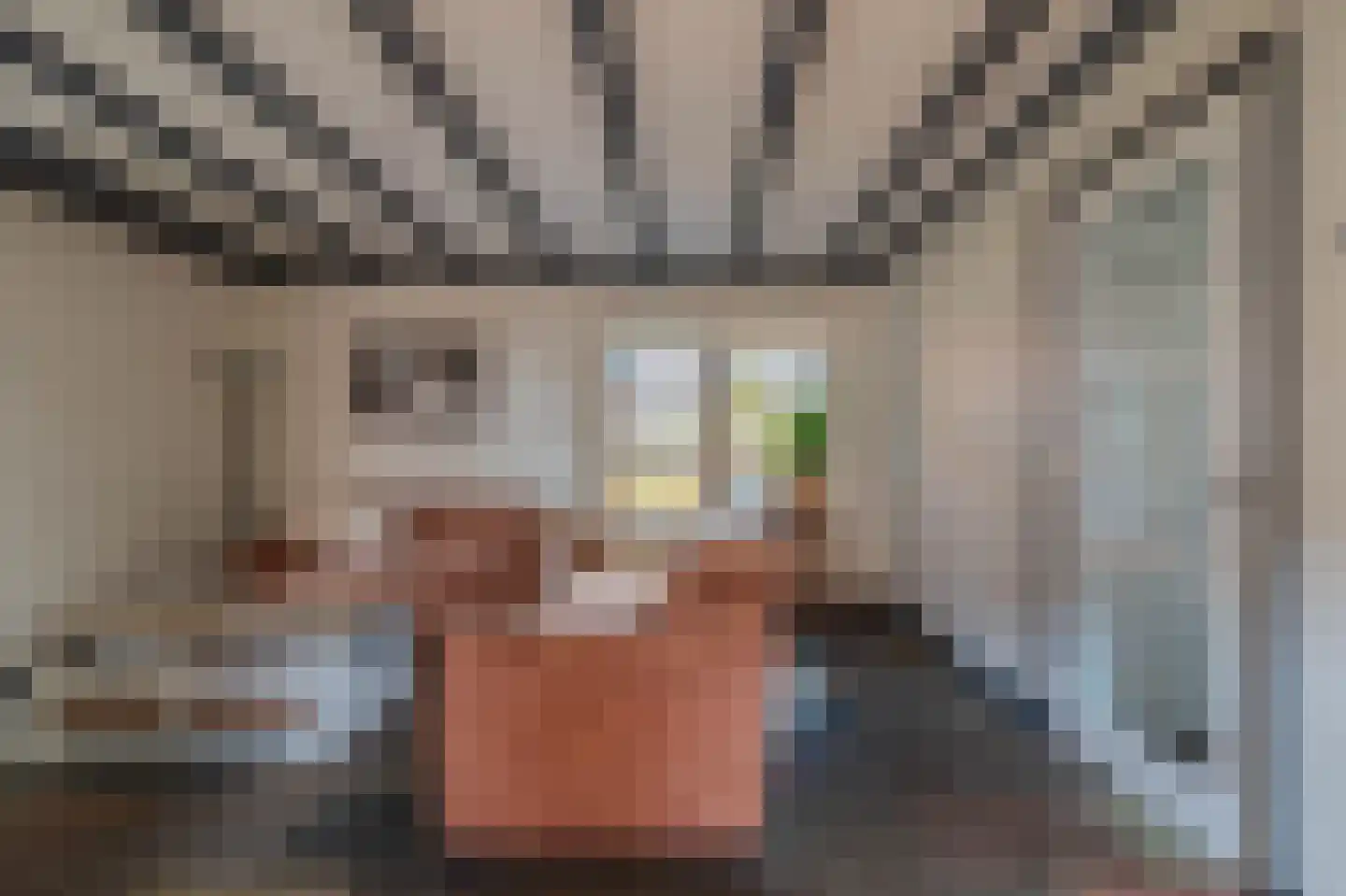 Pastoor Jeukenstraat 8 America thumbnail 7