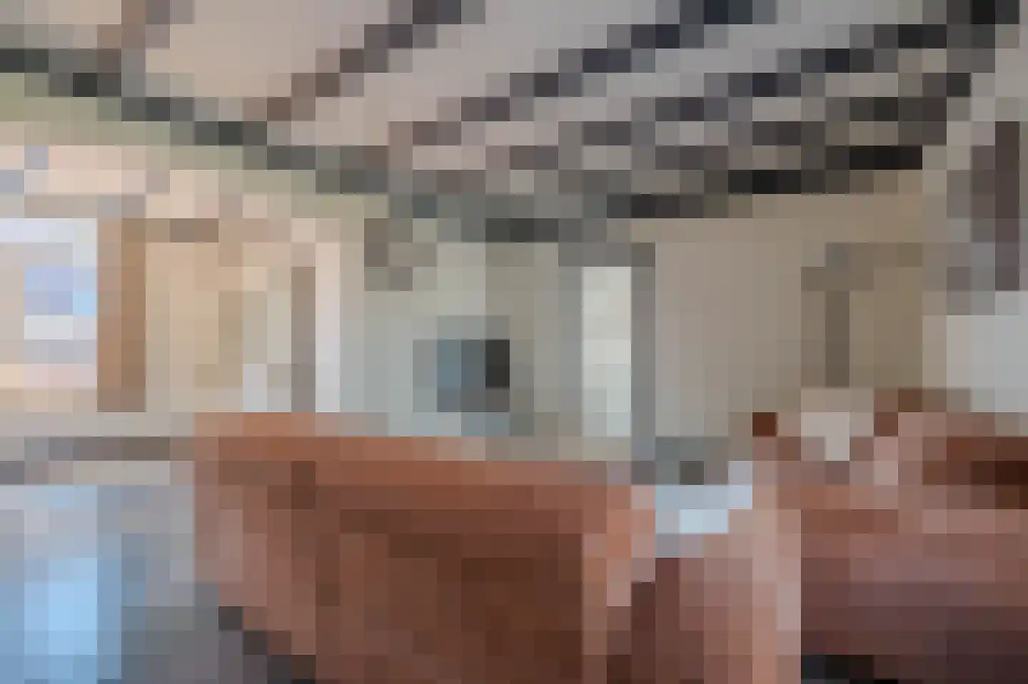 Pastoor Jeukenstraat 8 America thumbnail 9