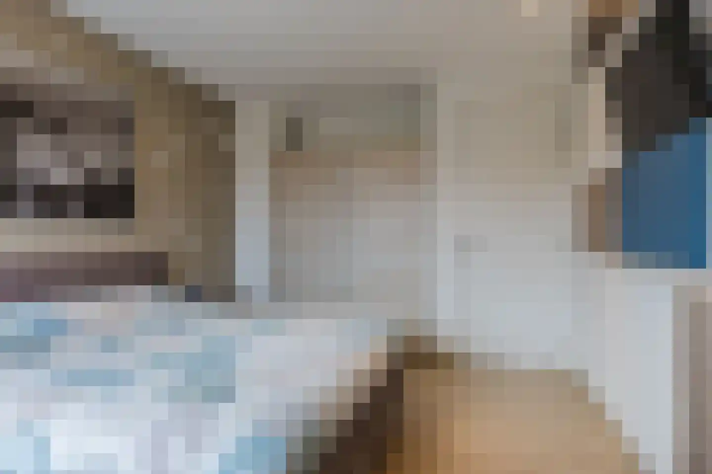 Pastoor Jilesenstraat 5 Haghorst thumbnail 20