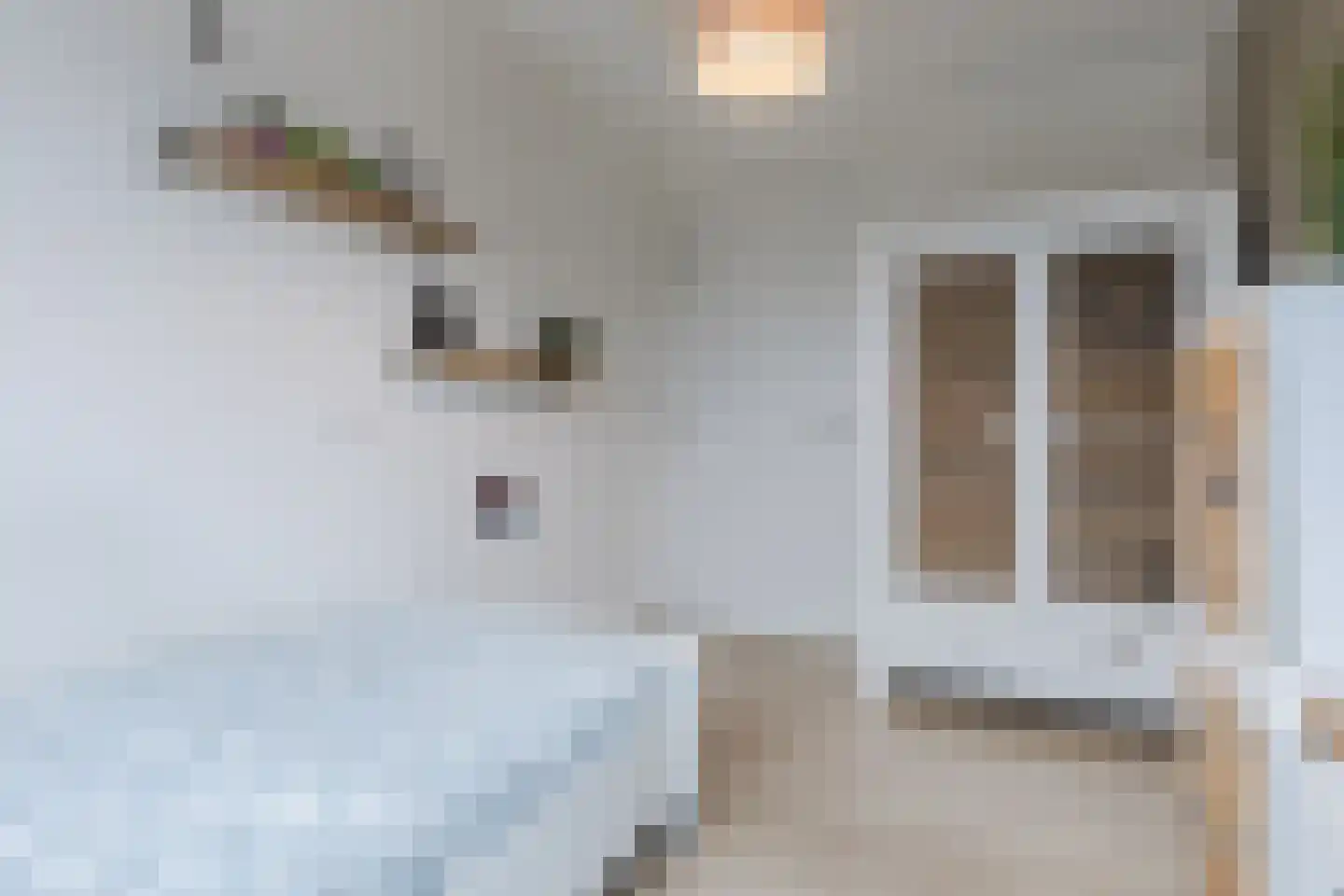 Pastoor Jilesenstraat 5 Haghorst thumbnail 22