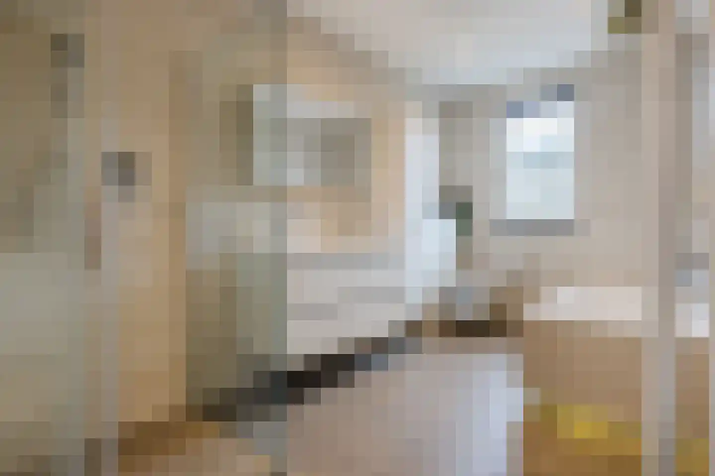 Pastoor Jilesenstraat 5 Haghorst thumbnail 25