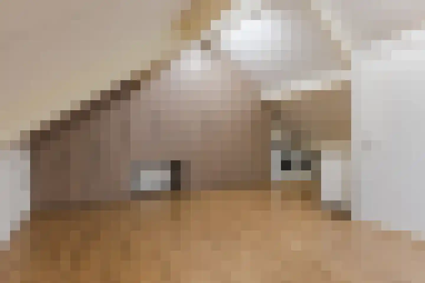 Pastoor Jilesenstraat 5 Haghorst thumbnail 29