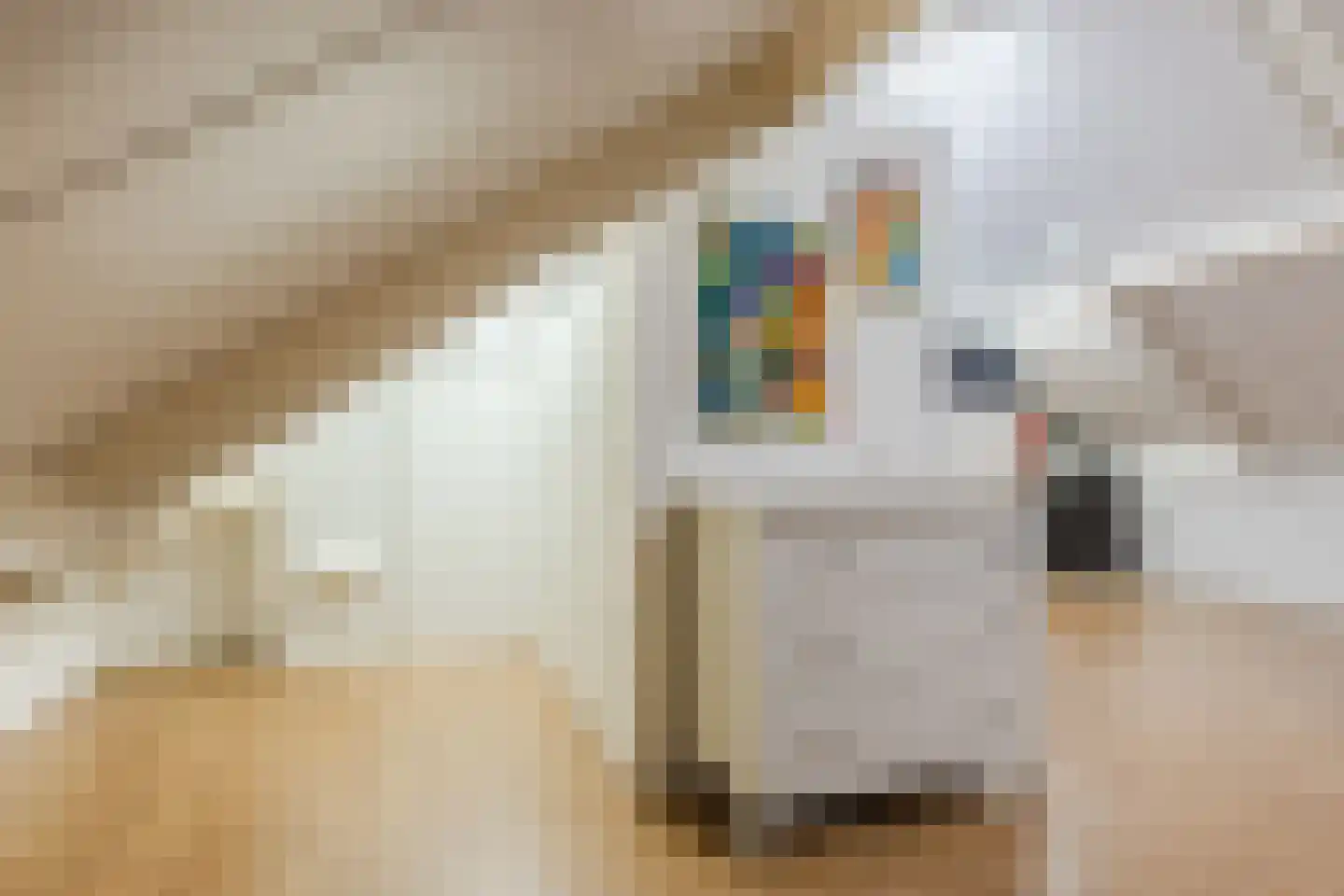 Pastoor Jilesenstraat 5 Haghorst thumbnail 30