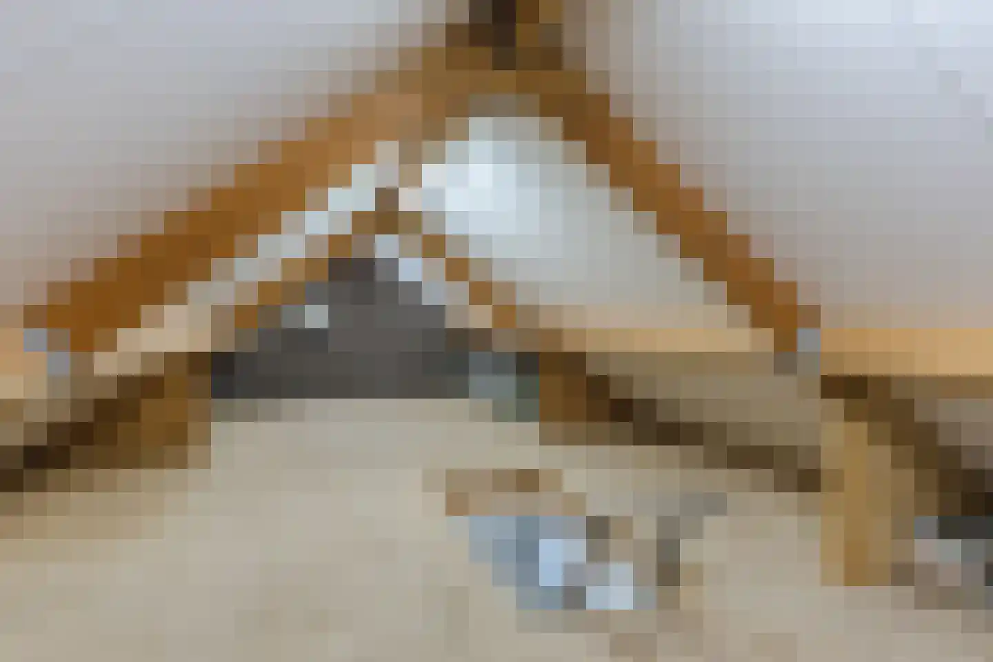 Pastoor Jilesenstraat 5 Haghorst thumbnail 36