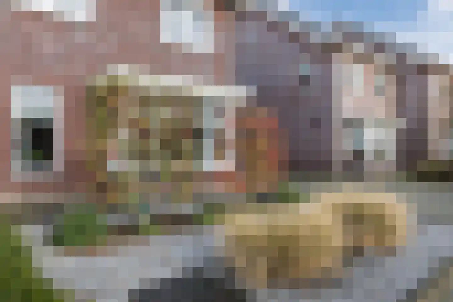 Pastoor Jilesenstraat 5 Haghorst thumbnail 45