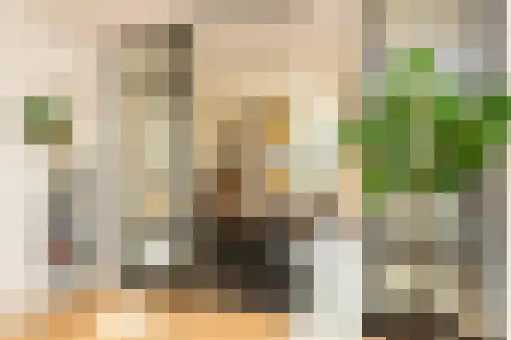 Pastoor Jilesenstraat 6 Haghorst thumbnail 14
