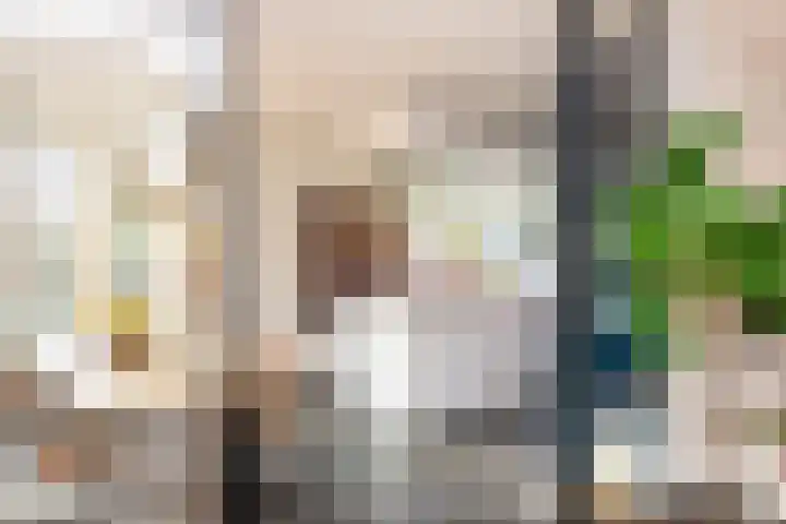 Pastoor Jilesenstraat 6 Haghorst thumbnail 15