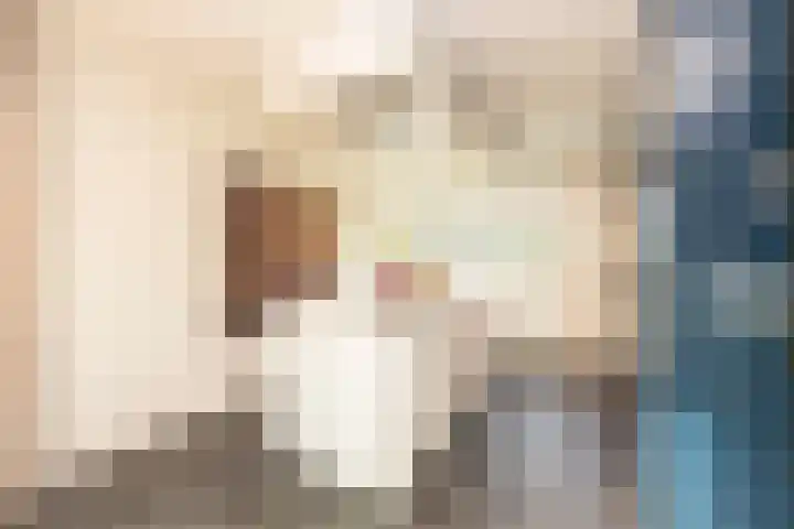 Pastoor Jilesenstraat 6 Haghorst thumbnail 17