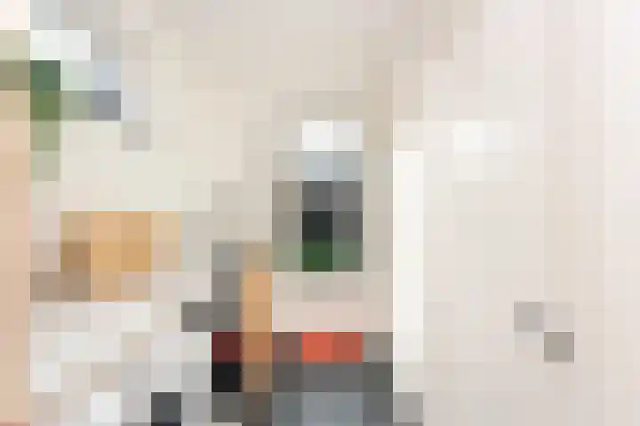 Pastoor Jilesenstraat 6 Haghorst thumbnail 23
