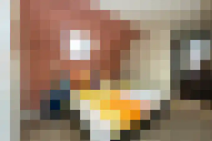 Pastoor Jilesenstraat 6 Haghorst thumbnail 27