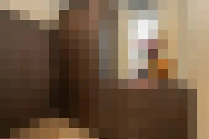 Pastoor Jilesenstraat 6 Haghorst thumbnail 30