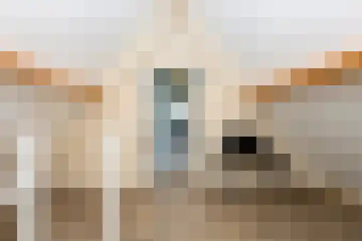 Pastoor Jilesenstraat 6 Haghorst thumbnail 44