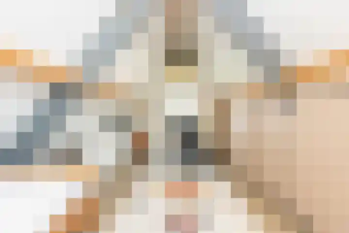 Pastoor Jilesenstraat 6 Haghorst thumbnail 45