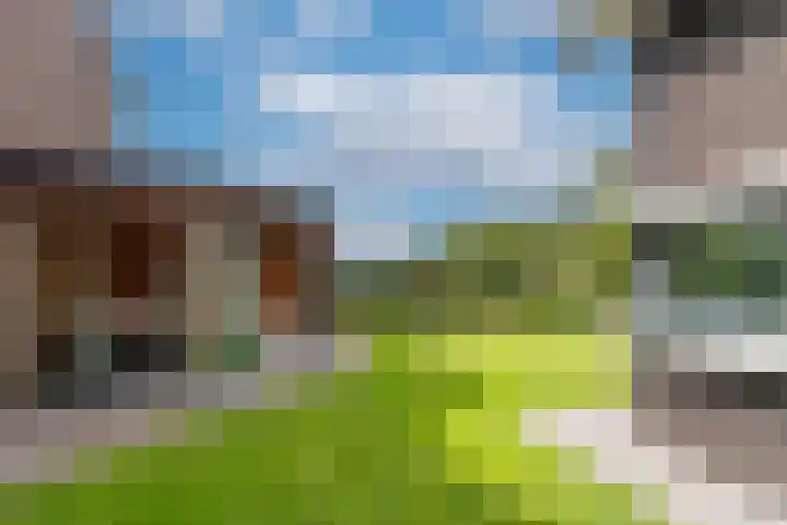 Pastoor Jilesenstraat 6 Haghorst thumbnail 52