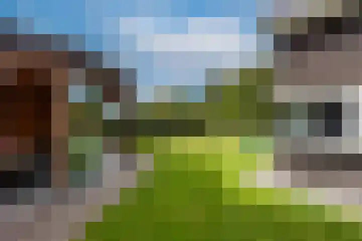 Pastoor Jilesenstraat 6 Haghorst thumbnail 53