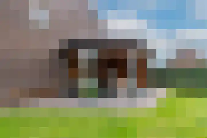 Pastoor Jilesenstraat 6 Haghorst thumbnail 54