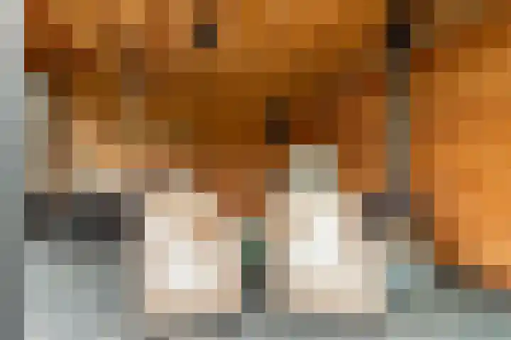 Pastoor Jilesenstraat 6 Haghorst thumbnail 55
