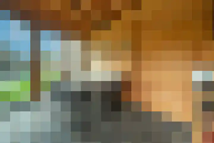 Pastoor Jilesenstraat 6 Haghorst thumbnail 56