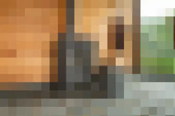 Pastoor Jilesenstraat 6 Haghorst thumbnail 57