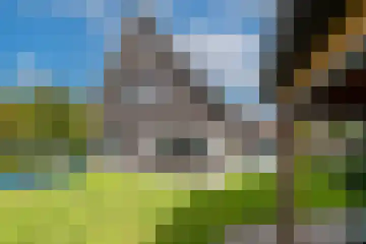 Pastoor Jilesenstraat 6 Haghorst thumbnail 58