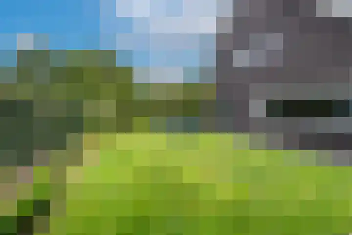Pastoor Jilesenstraat 6 Haghorst thumbnail 60